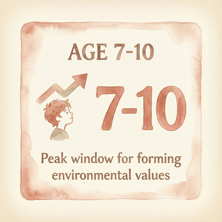 Stat box showing ages 7 to 10 as peak window for forming environmental values