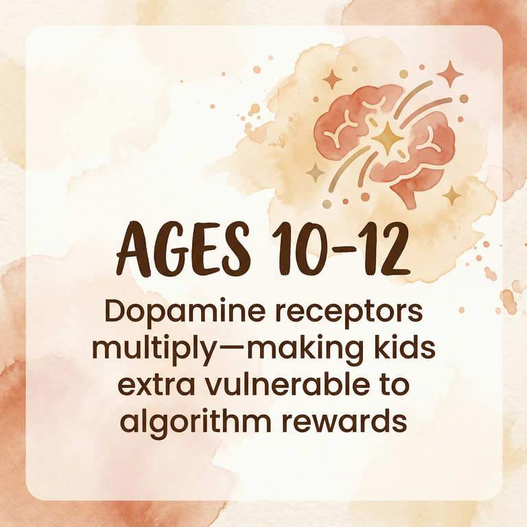 Ages 10-12 dopamine receptors multiply making kids vulnerable to algorithm rewards