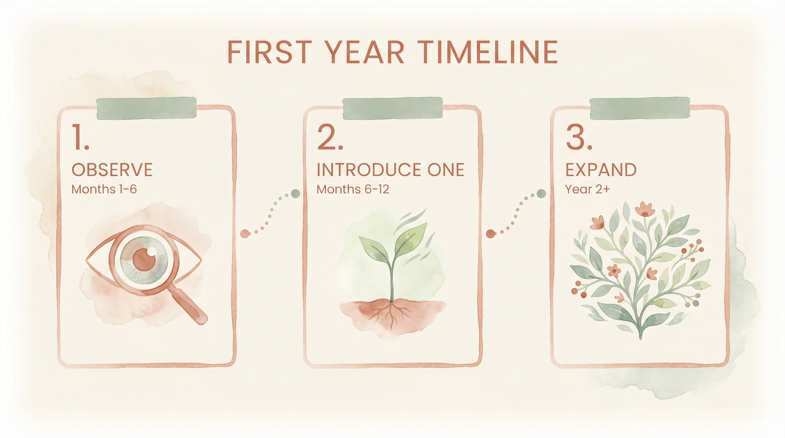Process flow showing three phases of first year blended family timeline from observe to introduce to expand