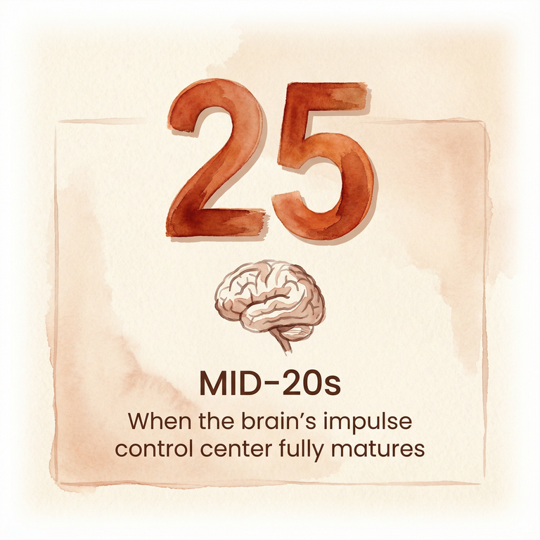 Stat showing the brain's impulse control center fully matures in mid-20s