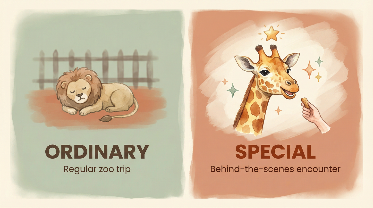 Comparison showing ordinary zoo trip versus special behind-the-scenes encounter