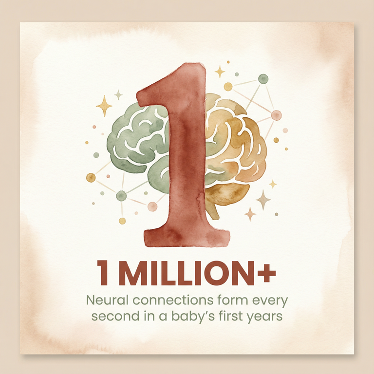 Stat showing over one million neural connections form every second in baby's first years