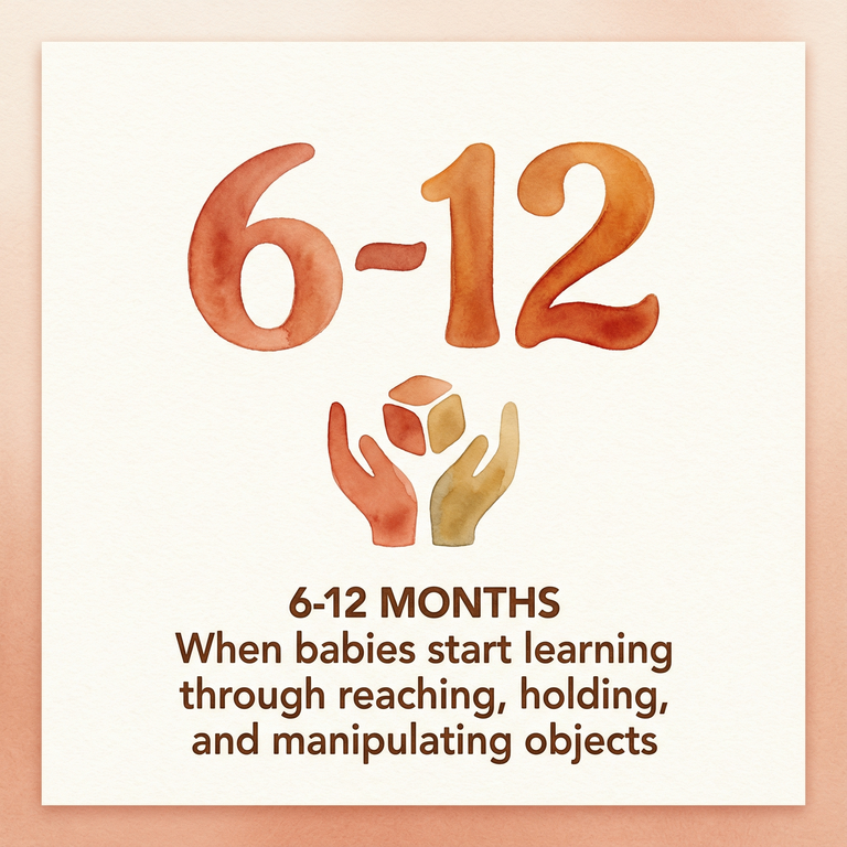 Stat showing 6-12 months when babies start learning through reaching and manipulating objects